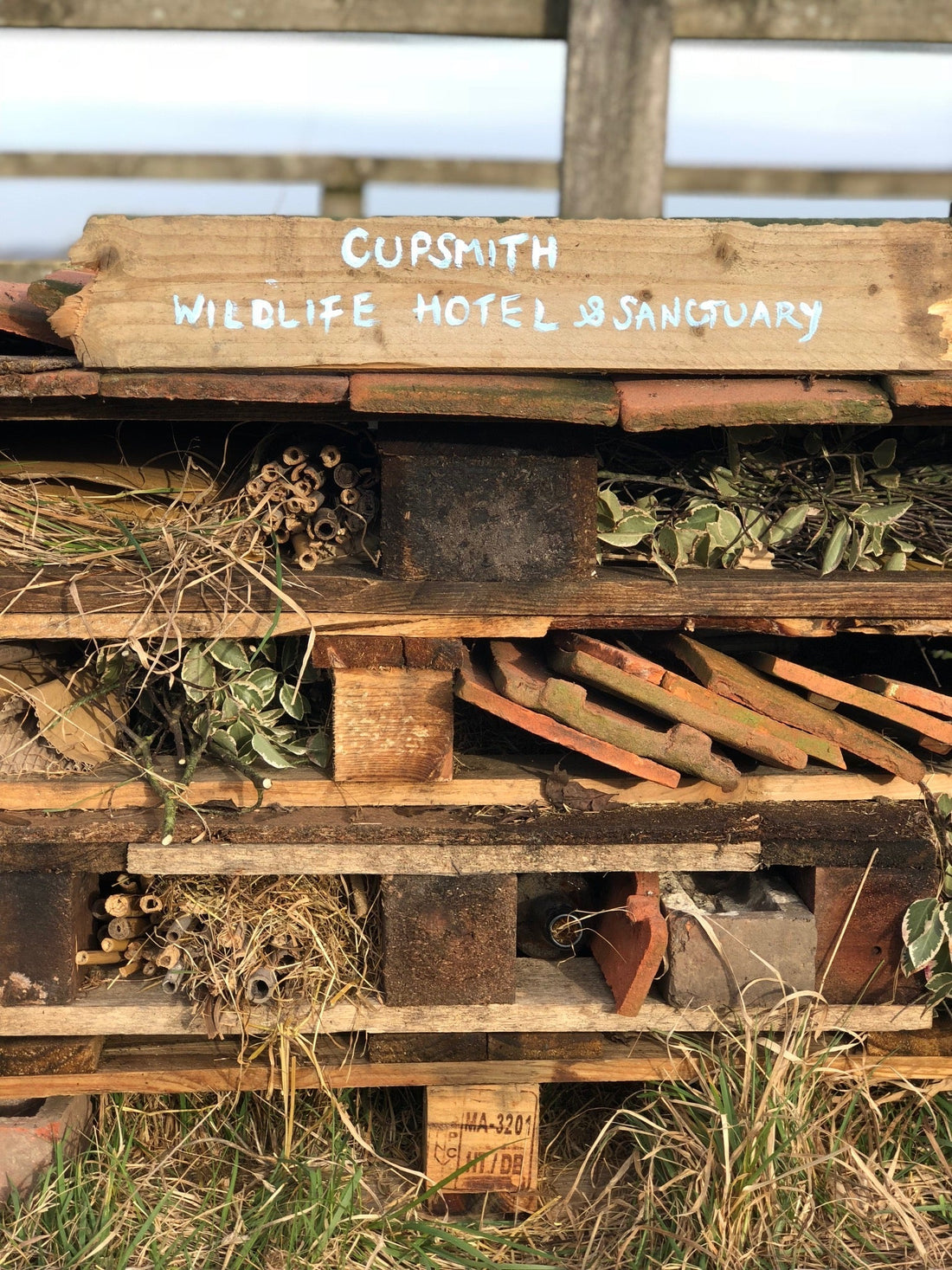 'Upwilding' at Cupsmith