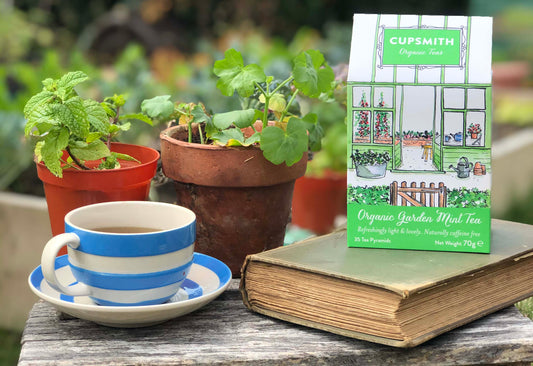 Autumn garden days and Chelsea Flower Show