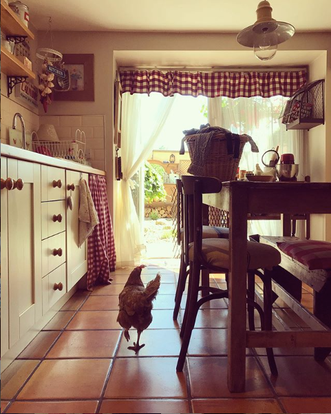 How to keep hens, by Alison from Life at Number 10