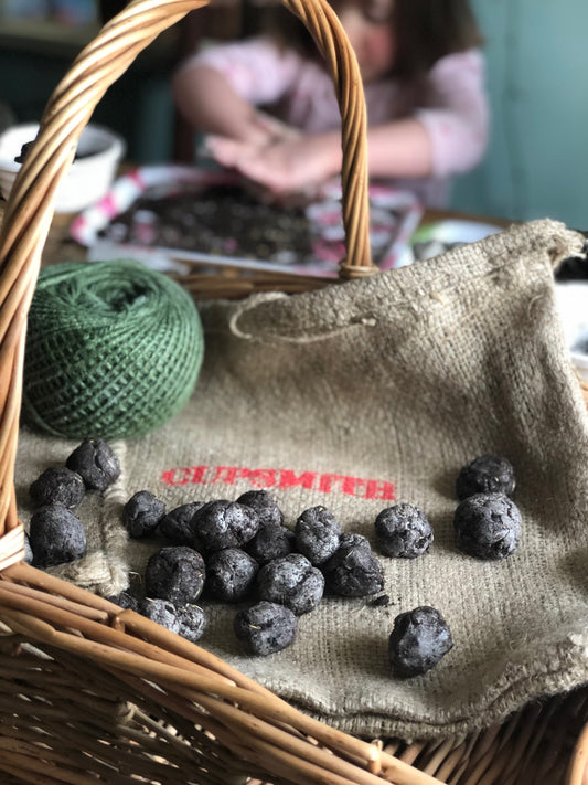 Making wildflower seedballs: easy, fun and brilliant for wildlife!