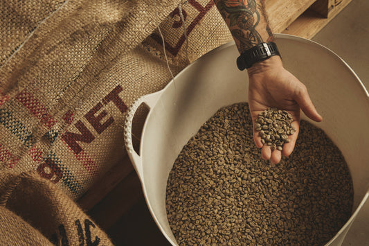 5 Benefits of Buying Coffee Beans in Bulk for Small Businesses