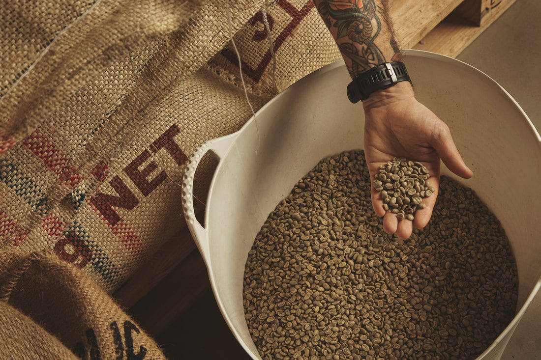 5 Benefits of Buying Coffee Beans in Bulk for Small Businesses